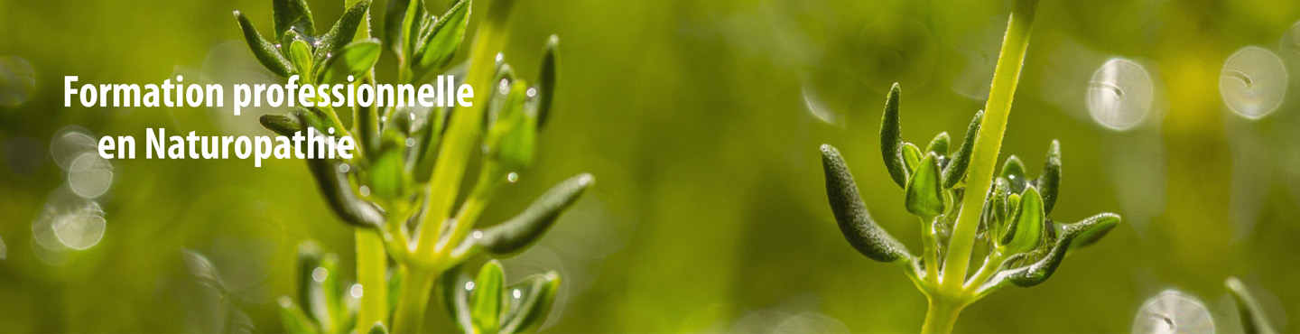 Tu veux devenir naturopathe