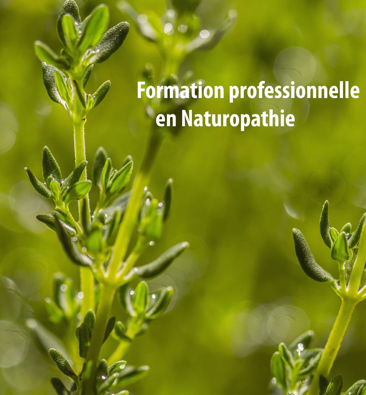 Tu veux devenir naturopathe
