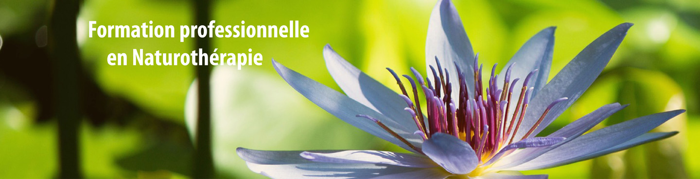 Tu veux devenir naturopathe