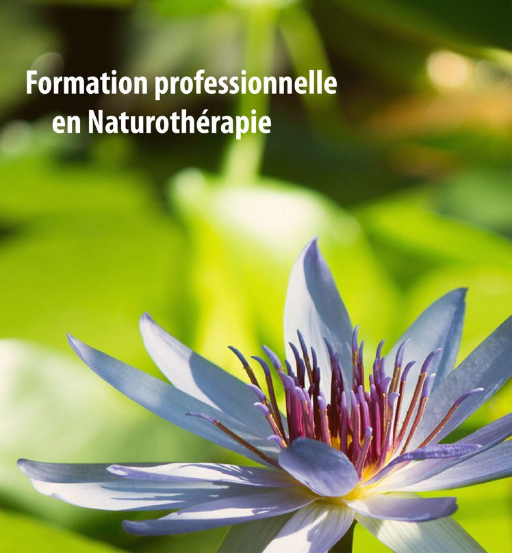 Tu veux devenir naturopathe