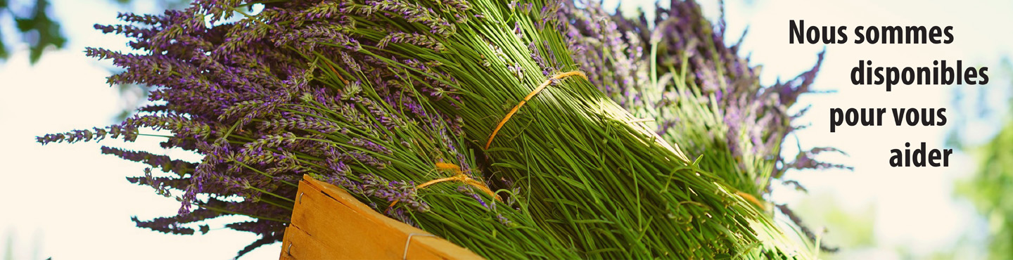 Tu veux devenir naturopathe