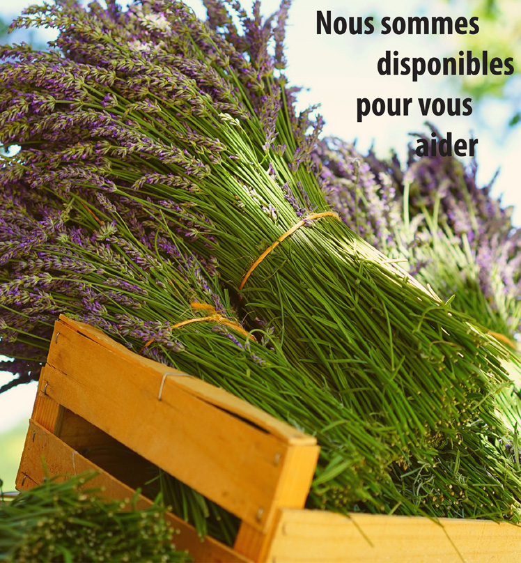 Tu veux devenir naturopathe